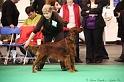 Crufts2011 435